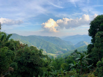 environment