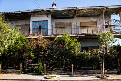 Trees and houses