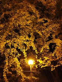 Low angle view of yellow lights against dramatic sky