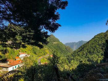 Scenic view of trees and mountains against blue sky