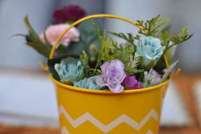 Close-up of purple flower pot on potted plant