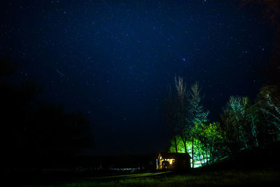 Low angle view of trees against sky at night