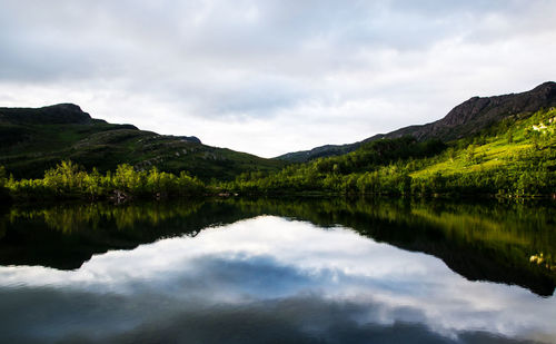 nature