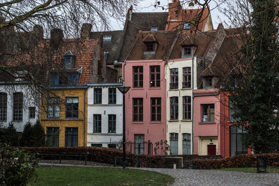 Houses by trees in city