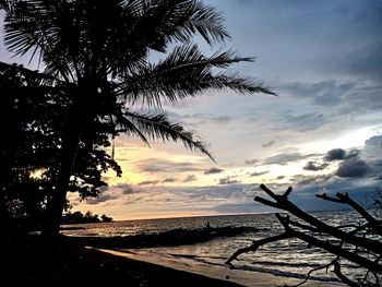 Silhouette tree by sea against sky during sunset