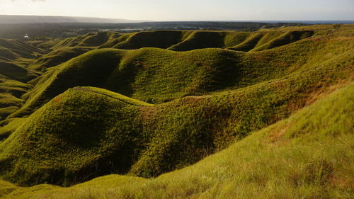 Tenau hilla sumba island