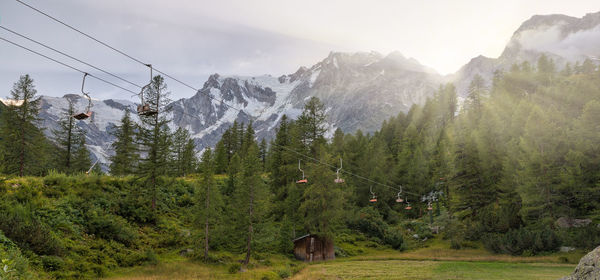 Panoramic shot of trees on land against sky