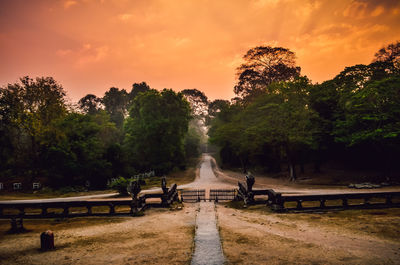 Footpath amidst trees against sky during sunset