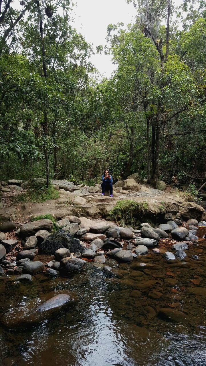 tree, water, leisure activity, lifestyles, men, forest, nature, rear view, tranquility, river, waterfront, full length, tranquil scene, beauty in nature, person, scenics, vacations