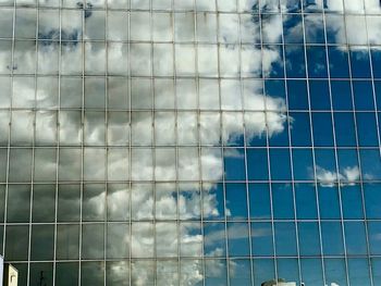 Close-up of bird against sky