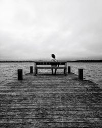 Rear view of man sitting on pier over sea against sky