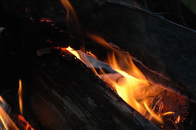 Close-up of bonfire at night