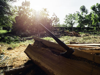 Wooden log on field against trees in forest