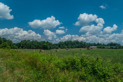 sky