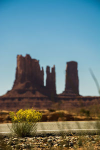 Plants growing on rocks against clear blue sky