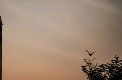 Low angle view of sky during sunset