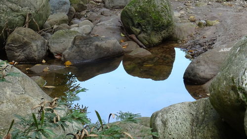 High angle view of rocks amidst trees