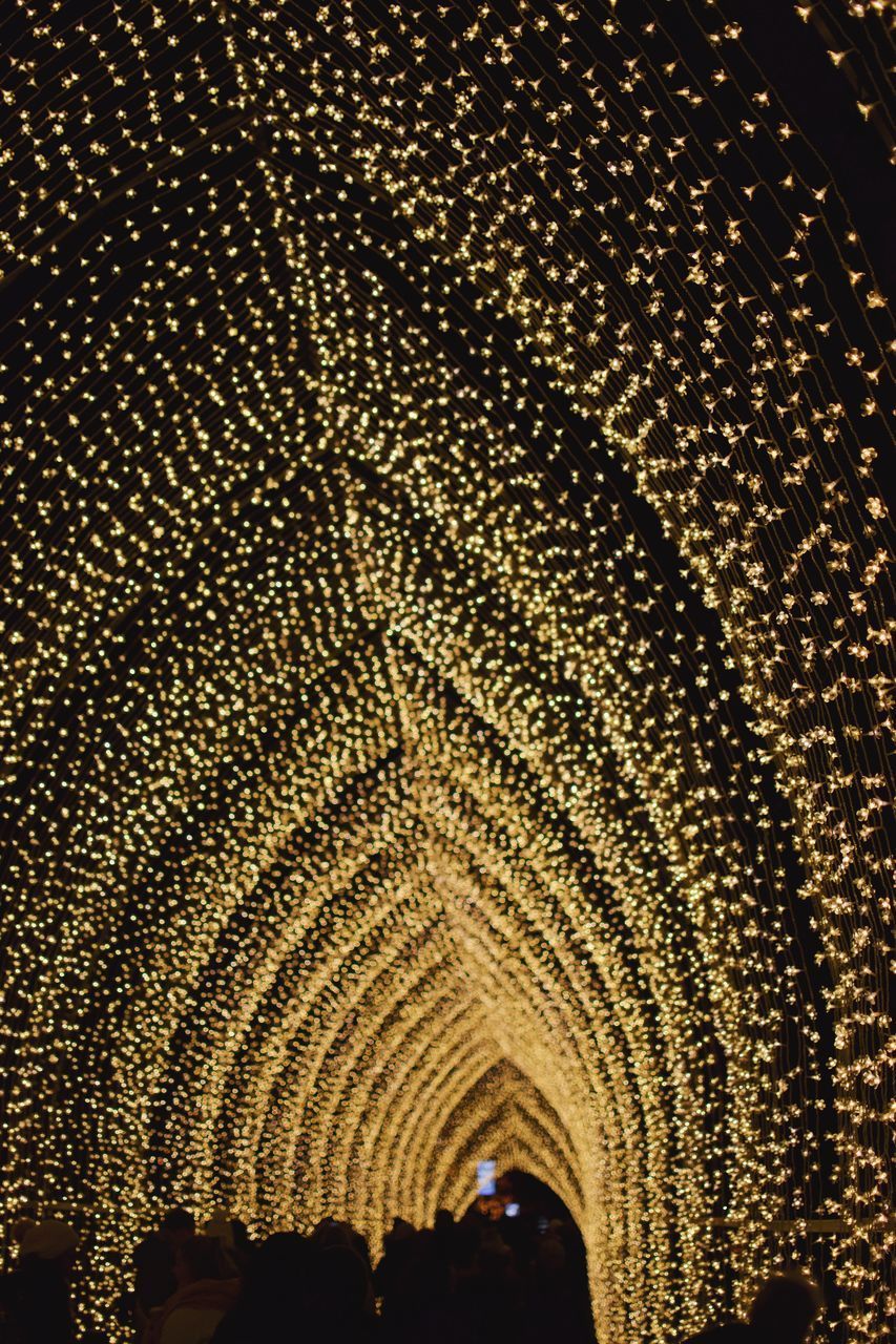 LOW ANGLE VIEW OF CEILING