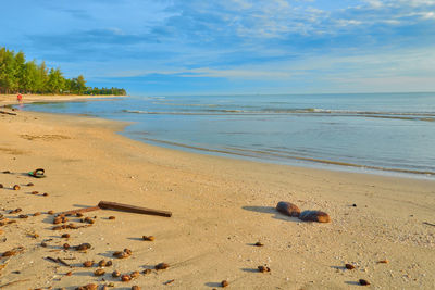 Scenic view of beach against sky