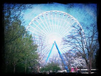 Low angle view of trees against sky