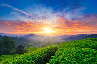 Scenic view of landscape against sky during sunset