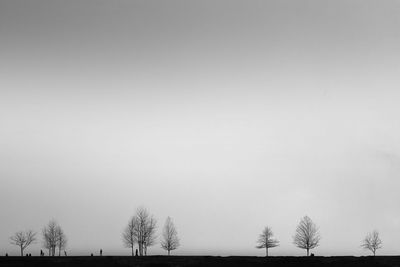 Bare trees on field against clear sky