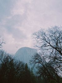 Low angle view of silhouette tree against sky
