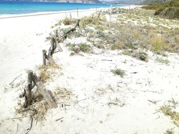 High angle view of crab on beach against sky