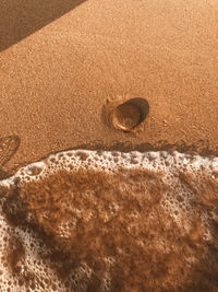 High angle view of bubbles on shore