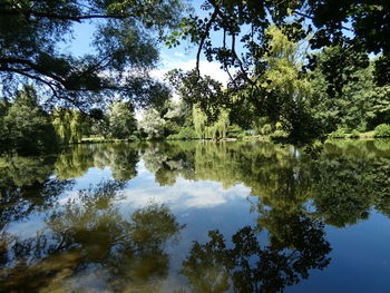 Reflection of trees in lake against sky