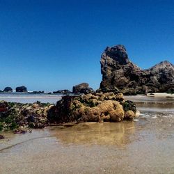 Scenic view of sea against clear blue sky