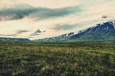 Scenic view of field against sky