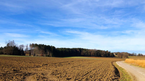 Scenic view of agricultural field against sky