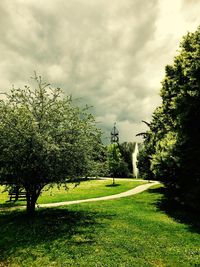 Trees against sky