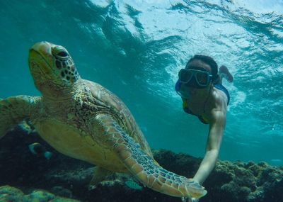 Woman with tortoise swimming in sea