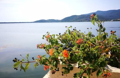 Scenic view of sea by mountain against sky