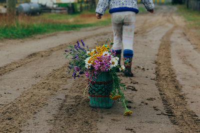 Girl in casual clothes walks through the village with a basket of wildflowers