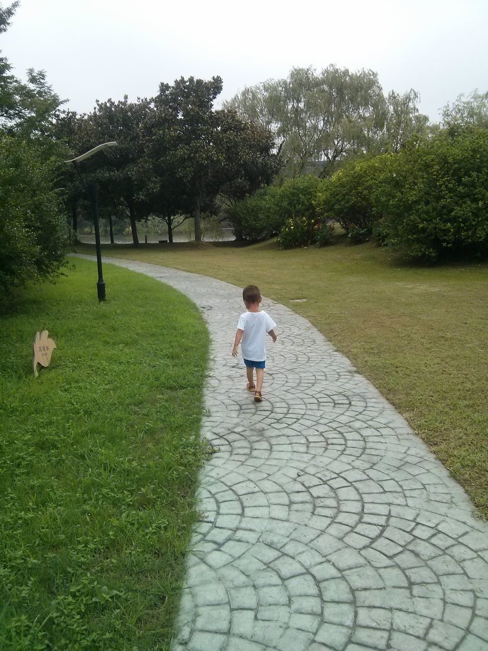 grass, tree, full length, lifestyles, walking, leisure activity, rear view, the way forward, green color, park - man made space, footpath, casual clothing, childhood, growth, field, grassy, nature, day