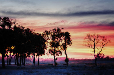 Silhouette trees on landscape against sky at sunset