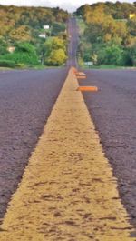 Surface level of road against trees in city