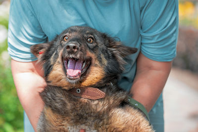 Midsection of man with dog