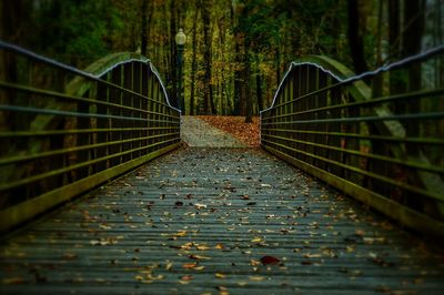 Footbridge in forest