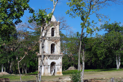 Trees by historic building against sky