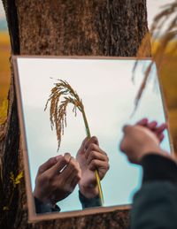 Reflection of person holding crop in mirror