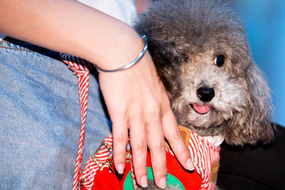 Close-up of woman with dog