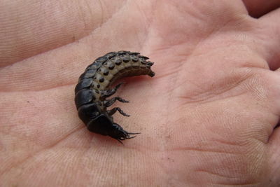 Close-up of person holding hand