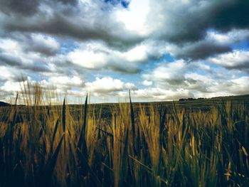 Scenic view of field against cloudy sky
