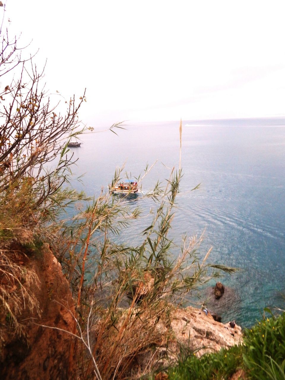 water, horizon over water, sea, tranquil scene, tranquility, clear sky, scenics, nature, beauty in nature, plant, beach, sky, shore, idyllic, growth, branch, tree, remote, non-urban scene, outdoors