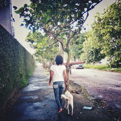 Rear view of woman with dog on street