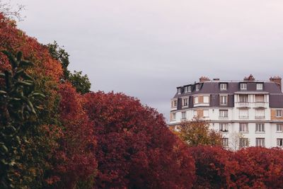 Low angle view of trees and buildings against sky